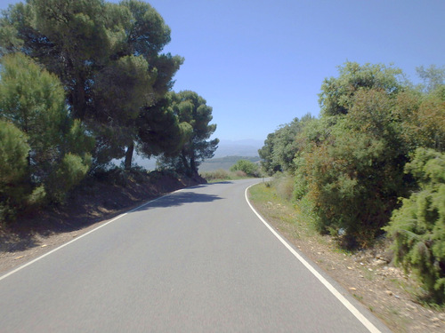 We get to ride through a few kilometers of a Parque's Tree Shade.